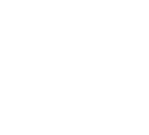 logo-brisasloncotoro-blanco